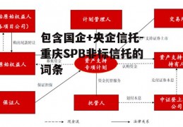 包含国企+央企信托-重庆SPB非标信托的词条