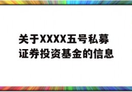 关于XXXX五号私募证券投资基金的信息