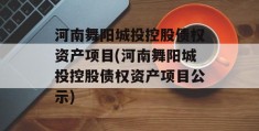 河南舞阳城投控股债权资产项目(河南舞阳城投控股债权资产项目公示)