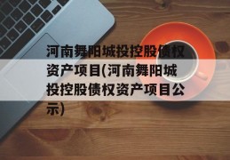 河南舞阳城投控股债权资产项目(河南舞阳城投控股债权资产项目公示)