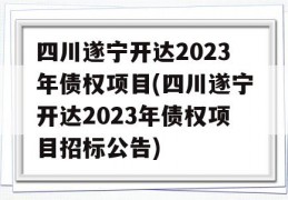 四川遂宁开达2023年债权项目(四川遂宁开达2023年债权项目招标公告)