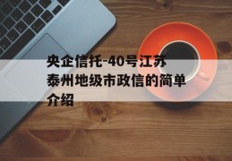 央企信托-40号江苏泰州地级市政信的简单介绍