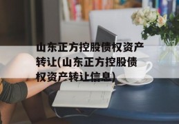 山东正方控股债权资产转让(山东正方控股债权资产转让信息)