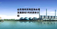 山东潍坊滨海蓝海水务发展债权5号的简单介绍