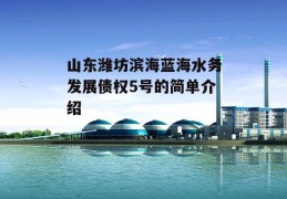 山东潍坊滨海蓝海水务发展债权5号的简单介绍