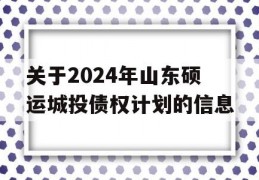 关于2024年山东硕运城投债权计划的信息