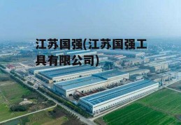 江苏国强(江苏国强工具有限公司)