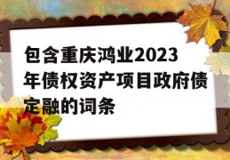 包含重庆鸿业2023年债权资产项目政府债定融的词条