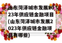 山东菏泽城市发展2023年供应链金融项目(山东菏泽城市发展2023年供应链金融项目有哪些)