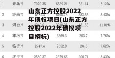 山东正方控股2022年债权项目(山东正方控股2022年债权项目招标)