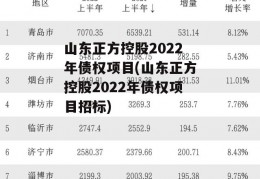 山东正方控股2022年债权项目(山东正方控股2022年债权项目招标)