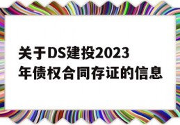 关于DS建投2023年债权合同存证的信息