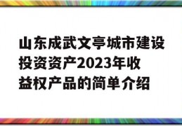 山东成武文亭城市建设投资资产2023年收益权产品的简单介绍