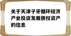 关于天津子牙循环经济产业投资发展债权资产的信息