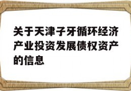 关于天津子牙循环经济产业投资发展债权资产的信息