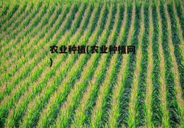 农业种植(农业种植网)