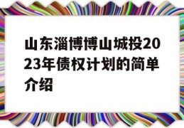 山东淄博博山城投2023年债权计划的简单介绍