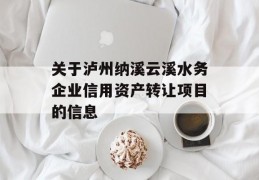 关于泸州纳溪云溪水务企业信用资产转让项目的信息