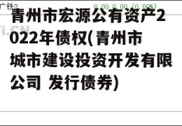 青州市宏源公有资产2022年债权(青州市城市建设投资开发有限公司 发行债券)