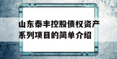 山东泰丰控股债权资产系列项目的简单介绍