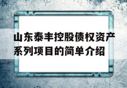 山东泰丰控股债权资产系列项目的简单介绍