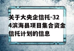 关于大央企信托-324滨海县项目集合资金信托计划的信息