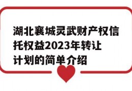 湖北襄城灵武财产权信托权益2023年转让计划的简单介绍