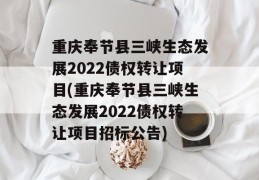 重庆奉节县三峡生态发展2022债权转让项目(重庆奉节县三峡生态发展2022债权转让项目招标公告)