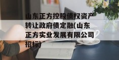 山东正方控股债权资产转让政府债定融(山东正方实业发展有限公司招标)