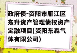 政府债-资阳市雁江区东升资产管理债权资产定融项目(资阳东森气体有限公司)