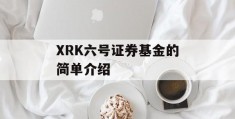 XRK六号证券基金的简单介绍