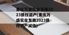 重庆万盛实业发展2023债权资产(重庆万盛实业发展2023债权资产减值)