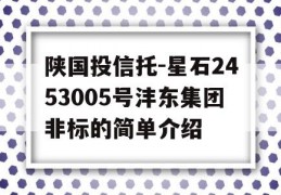 陕国投信托-星石2453005号沣东集团非标的简单介绍