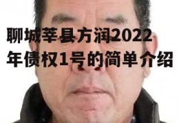 聊城莘县方润2022年债权1号的简单介绍