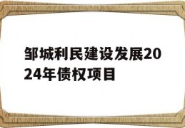 邹城利民建设发展2024年债权项目