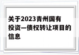 关于2023青州国有投资—债权转让项目的信息