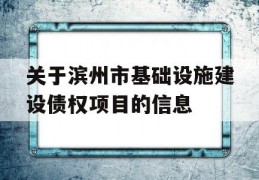 关于滨州市基础设施建设债权项目的信息