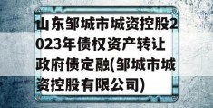 山东邹城市城资控股2023年债权资产转让政府债定融(邹城市城资控股有限公司)