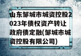 山东邹城市城资控股2023年债权资产转让政府债定融(邹城市城资控股有限公司)