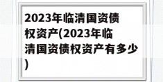 2023年临清国资债权资产(2023年临清国资债权资产有多少)