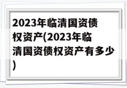 2023年临清国资债权资产(2023年临清国资债权资产有多少)