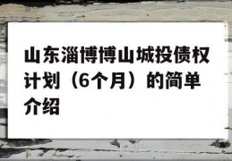 山东淄博博山城投债权计划（6个月）的简单介绍