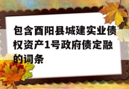 包含酉阳县城建实业债权资产1号政府债定融的词条