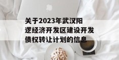 关于2023年武汉阳逻经济开发区建设开发债权转让计划的信息