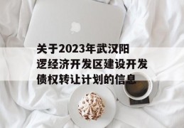 关于2023年武汉阳逻经济开发区建设开发债权转让计划的信息