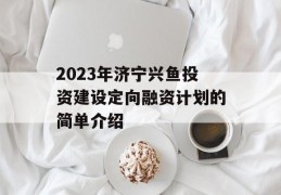 2023年济宁兴鱼投资建设定向融资计划的简单介绍