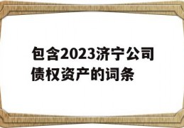 包含2023济宁公司债权资产的词条