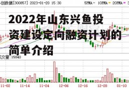 2022年山东兴鱼投资建设定向融资计划的简单介绍