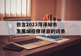 包含2023菏泽城市发展城投债项目的词条