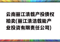 云南丽江清载产投债权拍卖(丽江清洁载能产业投资有限责任公司)